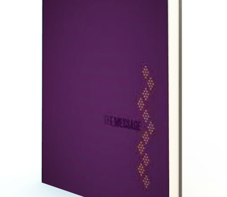 The Message Deluxe Gift Bible - Redemption Store